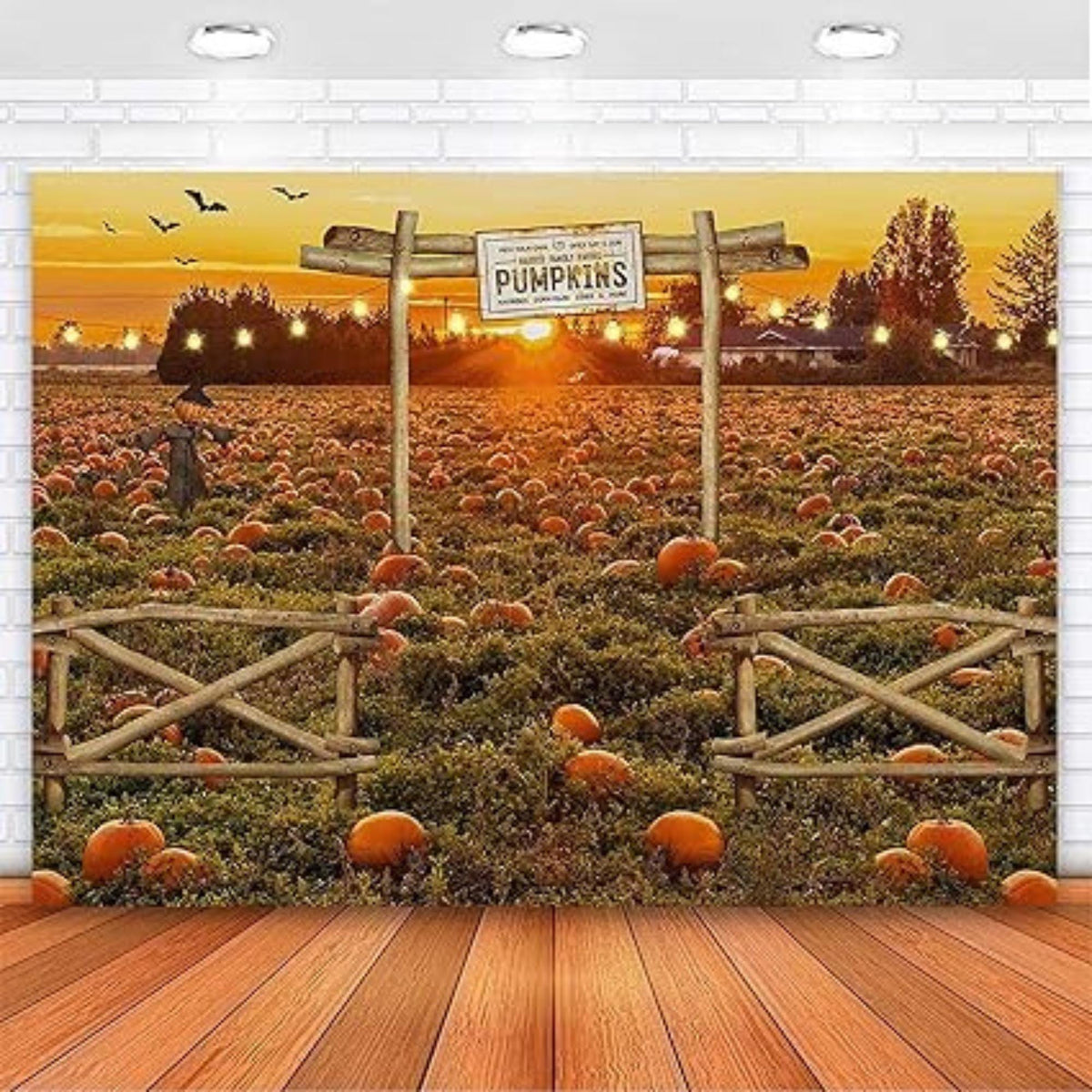 7x5ft Fall Pumpkin Patch Backdrop for Thanksgiving Halloween and Newborn Photos