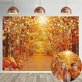 7x5ft Fall Forest Backdrop with Maple Leaves Pumpkins for Thanksgiving Photography