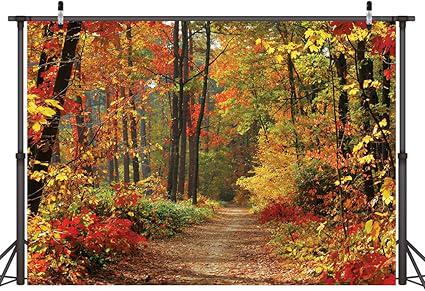 7x5FT Autumn Scenery Backdrop Vinyl Mountain Road with Trees & Yellow Fall Leaves