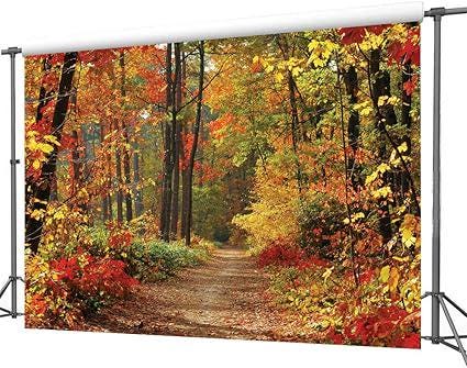 7x5FT Autumn Scenery Backdrop Vinyl Mountain Road with Trees & Yellow Fall Leaves
