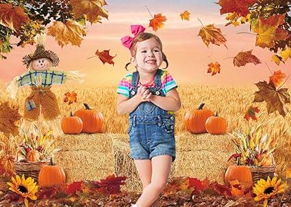 Autumn Pumpkin Harvest Backdrop with Hay and Maple Leaves for Thanksgiving Photos