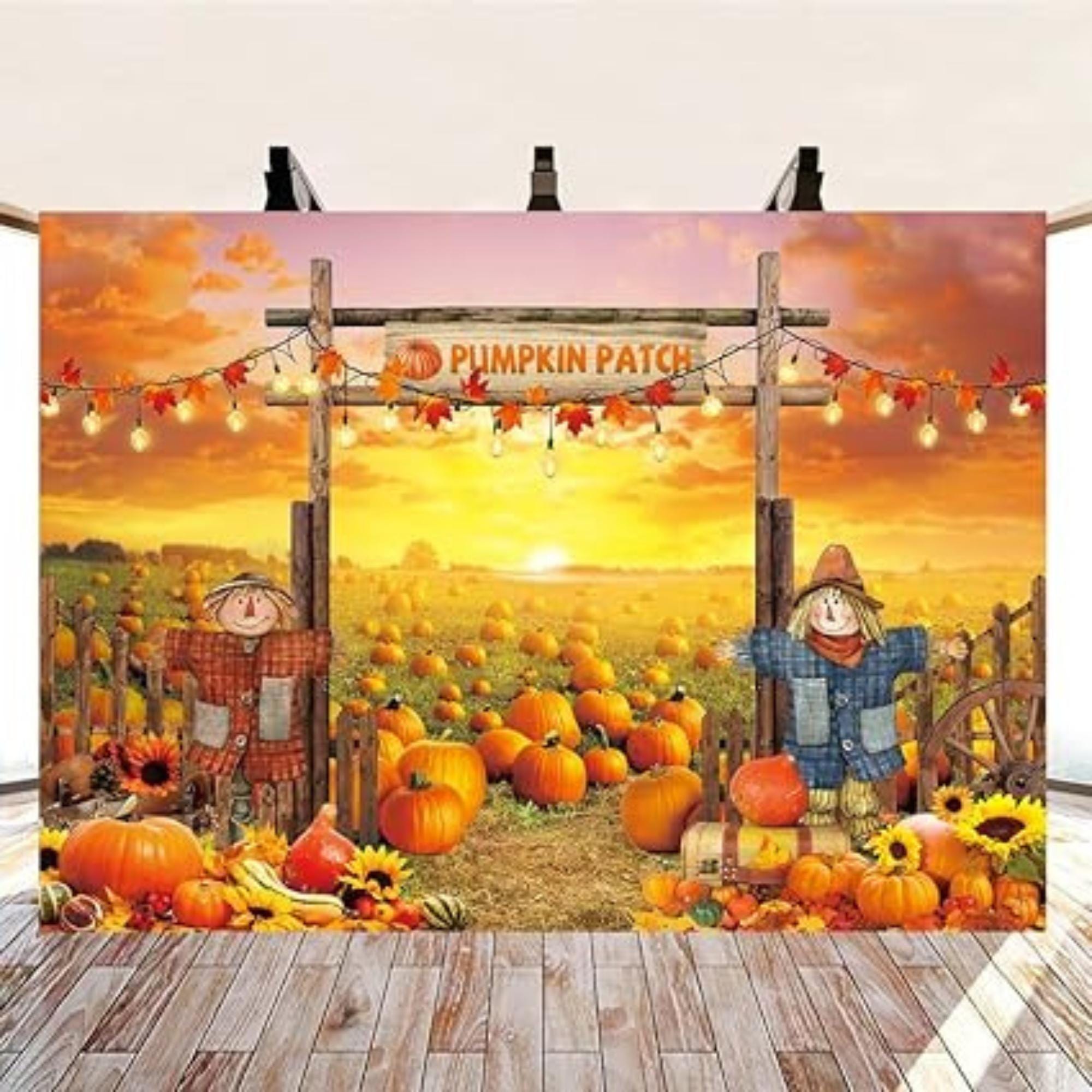 7x5ft Fall Pumpkin Patch Backdrop for Birthday Baby Shower Thanksgiving Decor