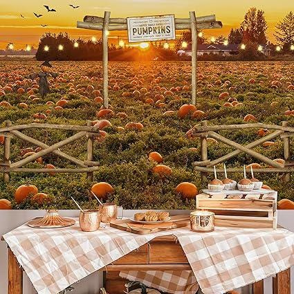 7x5ft Fall Pumpkin Patch Backdrop for Thanksgiving Halloween and Newborn Photos