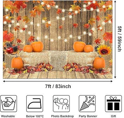 Fall Pumpkin Photography Backdrop 7x5FT Rustic Thanksgiving Harvest & Autumn Decor