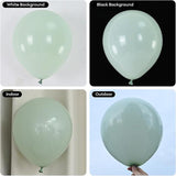 Pale Dusty Green Mini Balloon Set 60 Pcs for Birthday Jungle and Safari Decor
