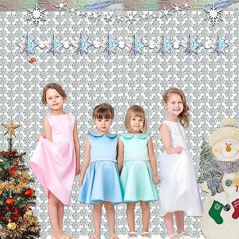 Silver Snowflake Fringe Backdrop 2 Pack Winter Party Streamers 3.2x6.5ft