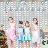 Silver Snowflake Fringe Backdrop 2 Pack Winter Party Streamers 3.2x6.5ft