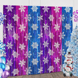 Ice Princess Snowflake Tinsel Backdrop 2 Pack 3.2x6.6ft Winter Party Decor