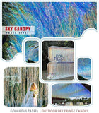 Iridescent Tinsel Fringe 2 Pack 3.3x3.3ft Holographic Backdrop for Party Decor