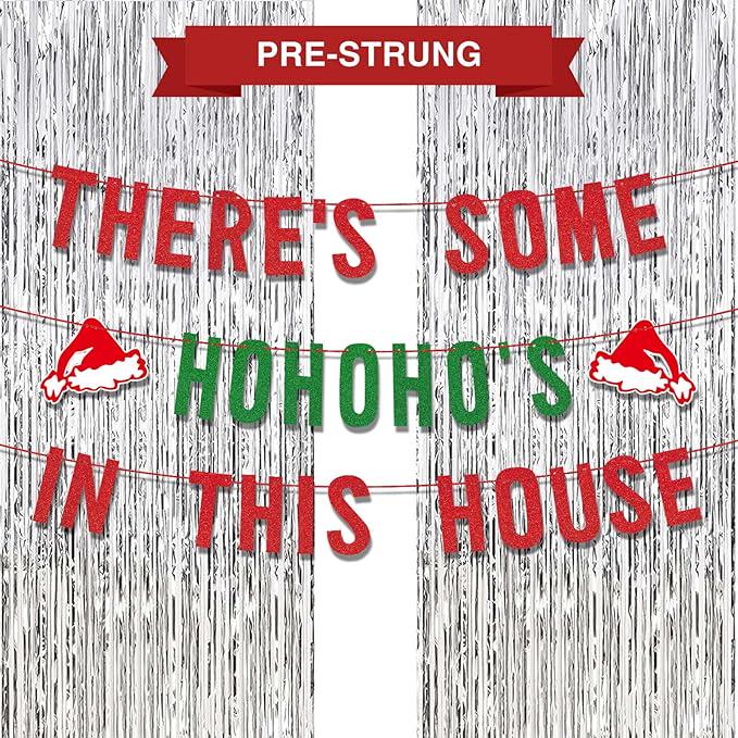 Red Green Christmas Party Decor with Funny HoHoHo Banner & Silver Fringe Backdrop