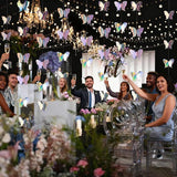 Four Piece Butterfly Hanging Garlands 3D Laser Butterfly Streamers for Parties