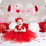 Valentines Day Love Banner Pink Gingham Heart Tassel Garland Party Decor