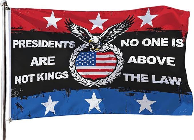 Presidents Are Not Kings Flag Protect Democracy Political Protest Outdoor Banner