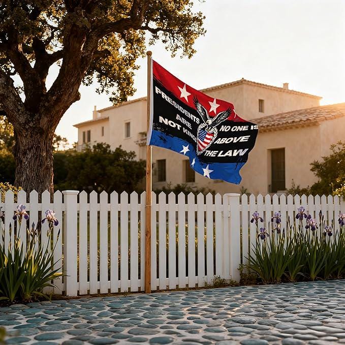 Presidents Are Not Kings Flag Protect Democracy Political Protest Outdoor Banner