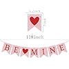 Be Mine Valentines Day Banner 9.8ft Long Pink Indoor Outdoor Party Decor