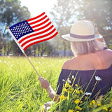 Mini American Flags, 12 Pack - Patriotic Party Decorations
