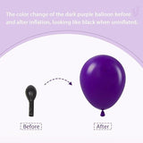 147 Pcs Purple Gold Balloon Arch Kit Party Decorations for Birthday Wedding
