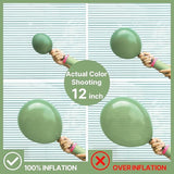 Sage Green Balloon Arch Kit 142pcs Boho Green Baby Shower Birthday Party Decor
