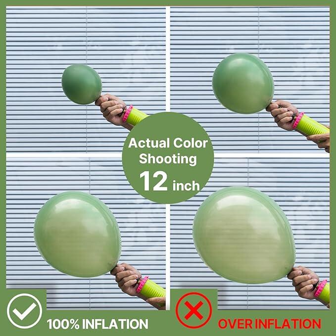 Pink Green Balloon Pack 66pcs Metallic Gold Sage Green Party Decor
