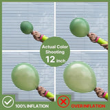 Pink Green Balloon Pack 66pcs Metallic Gold Sage Green Party Decor