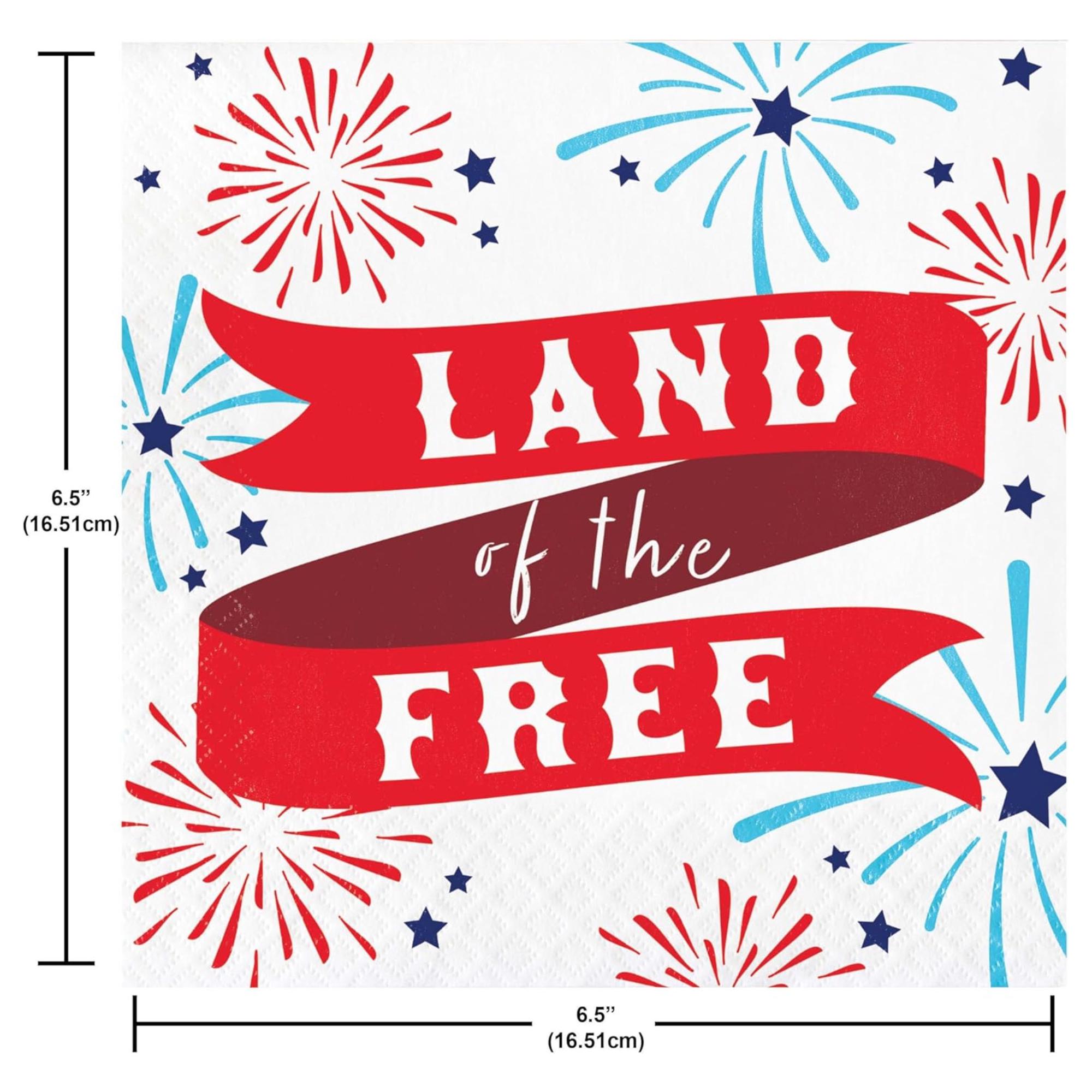 Lady Liberty Party Supplies for 8 Guests Dinner Dessert Plates Napkins