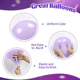 Purple Balloons 60 Pcs 12 Inch Metallic Pastel Confetti Party Decor Set
