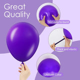 Dark Purple Balloon Arch Kit 120 Pcs Mixed Size Party Decor Set Pieces