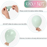 Pastel Pink Green Gold Balloon Set | Whimsical Party Decor (Baby Shower)