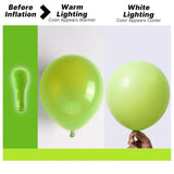 Lime Green Balloon Garland Arch Kit | Assorted Sizes for Parties