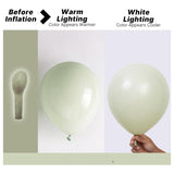 Sage Green Balloon Arch Kit | Dusty Boho Balloons for Wedding, Birthday, Jungle Party