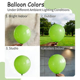 100Pcs 5 Inch Neon Green Latex Balloons, Mini Garland Fillers, Jungle Party Decor