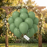 Sage Green Eucalyptus Olive Latex Balloons, Boho Baby Shower Wedding Party Decor