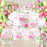 Watermelon 1st Birthday Party Decorations Kit | One in a Melon Backdrop, Tableware, Balloons