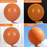 Burnt Orange Balloon Garland Arch Kit, Terracotta Latex Balloons, Fall Party Decorations