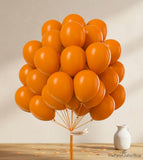100PCS Burnt Orange Balloons, Terracotta Rust Fall Balloon Arch Kit, Boho Wedding Baby Shower Birthday Thanksgiving Party Decor