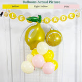 Lemonade Balloon Arch Kit | Pink Yellow Citrus Party Decor with Banner