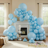 Pale Aqua Balloon Arch Kit | Boho Light Blue Party Decor (150pc)