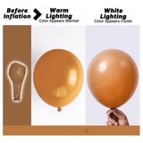 Boho Neutral Light Brown Balloons, Coffee Color Party Decor, Baby Shower Birthday Wedding Arch