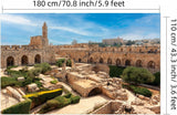 Jerusalem Cityscape Backdrop, Western Wall Jewish Party Decor (70.8 x 43.3 Inch)