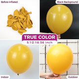 Mustard Yellow Latex Balloons, 12 Inch Boho Fall Party Decorations