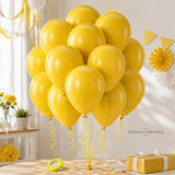 Mustard Yellow Latex Balloons, 12 Inch Boho Fall Party Decorations