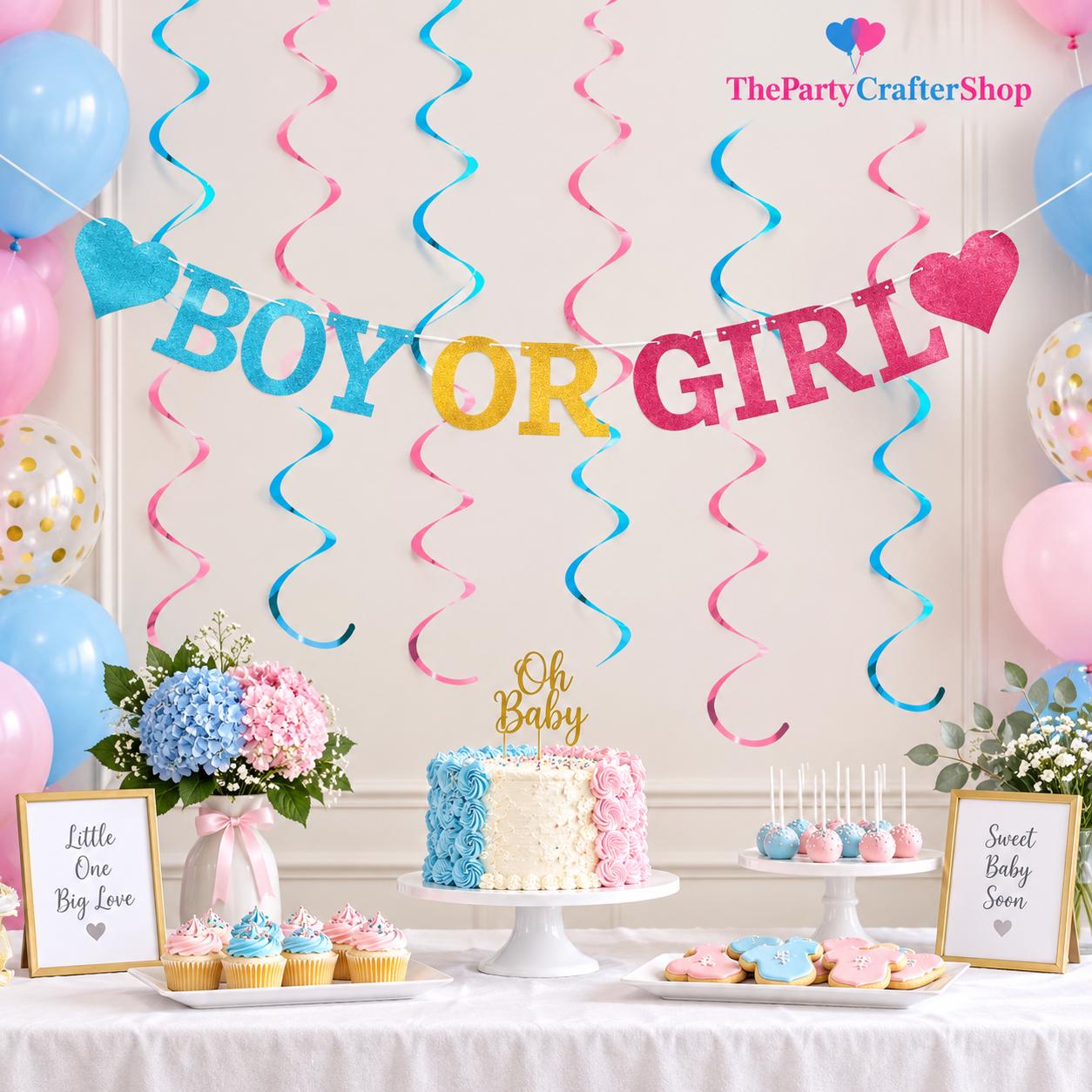 Boy or Girl Gender Reveal Banner, Swirls, Baby Shower Decor (PVC, Cardstock)