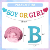 Boy or Girl Gender Reveal Banner, Swirls, Baby Shower Decor (PVC, Cardstock)