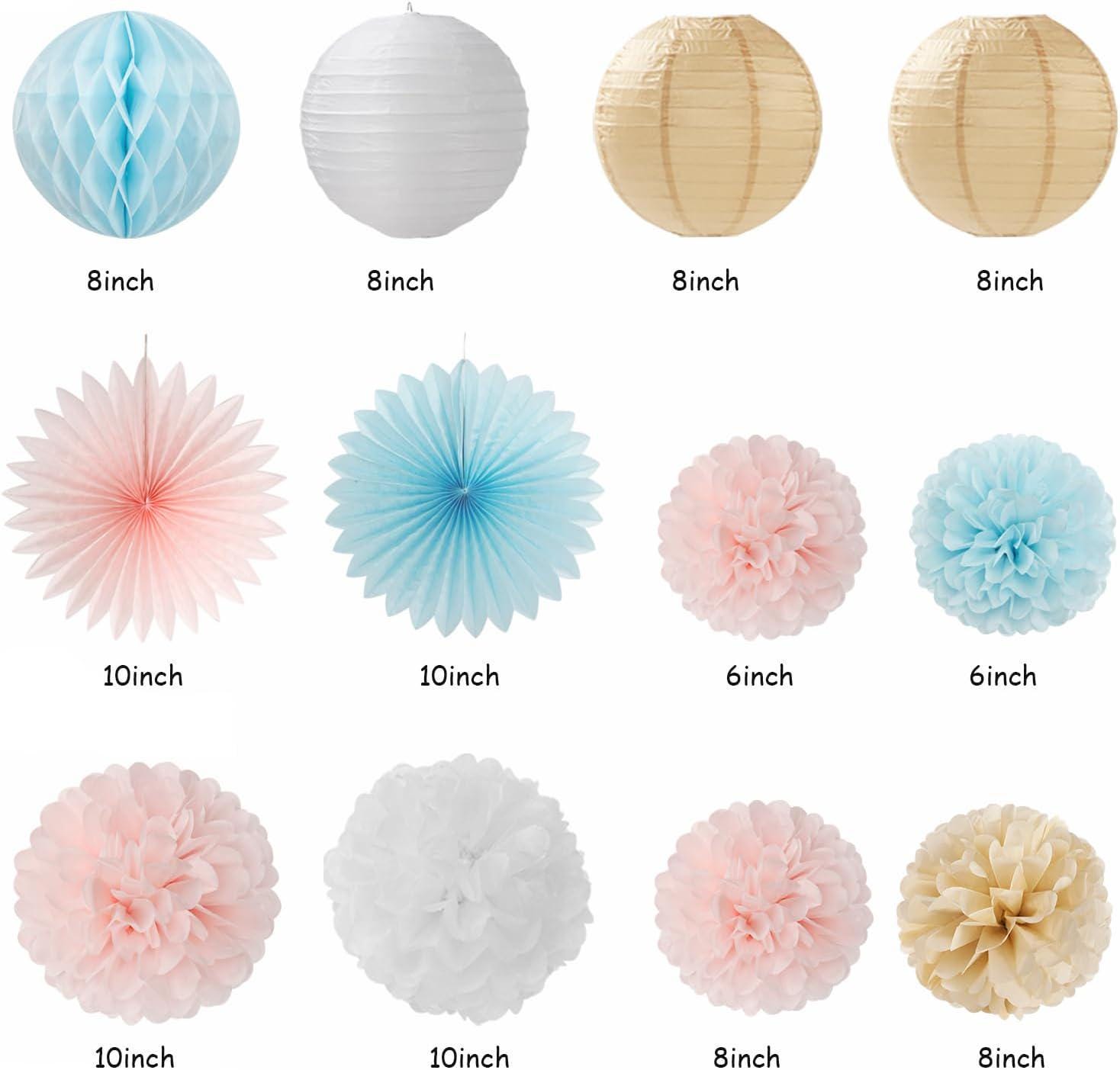 Gender Reveal Party Set, Pink Blue Champagne, 22pc Baby Shower Decorations