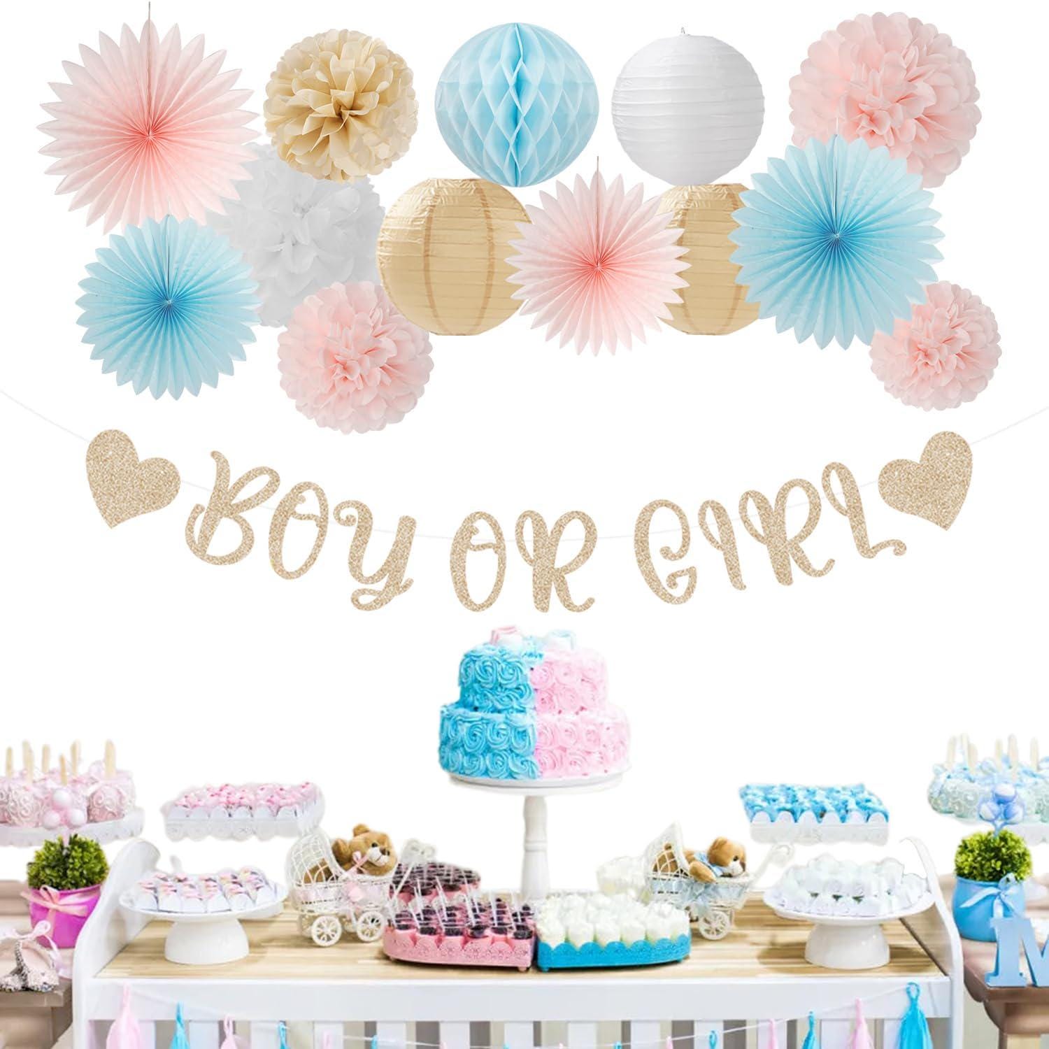 Gender Reveal Party Set, Pink Blue Champagne, 22pc Baby Shower Decorations