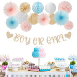 Gender Reveal Party Set, Pink Blue Champagne, 22pc Baby Shower Decorations