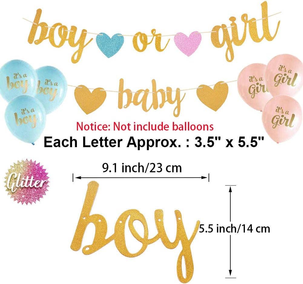 Gender Reveal Banner Set, Baby Shower Decorations, Pink Blue Gold Tassels