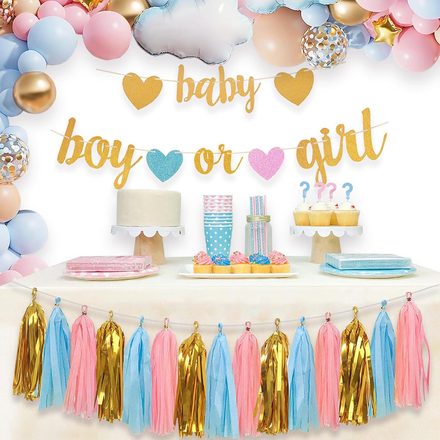 Gender Reveal Banner Set, Baby Shower Decorations, Pink Blue Gold Tassels