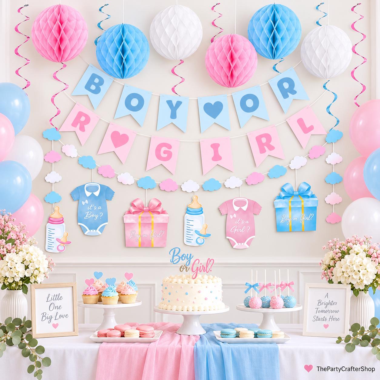 Boy or Girl Gender Reveal Decorations, Pink Blue Baby Shower Banner, Honeycomb Balls & Swirls