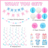 Boy or Girl Gender Reveal Decorations, Pink Blue Baby Shower Banner, Honeycomb Balls & Swirls